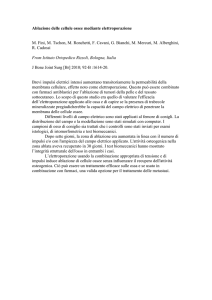 Ablazione delle cellule ossee mediante elettroporazione M. Fini, M