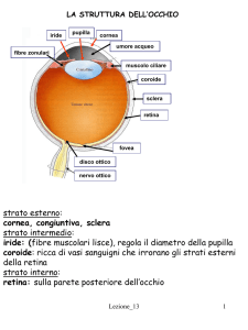 Nessun titolo diapositiva