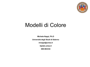 Diapositiva 1 - Biplab (Unisa)