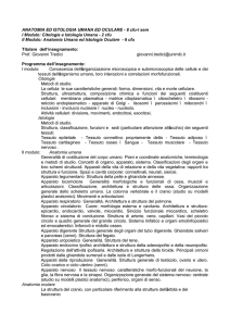 Anatomia e istologia umana e oculare