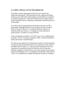 LA FISICA DELLE LENTI POLARIZZATE