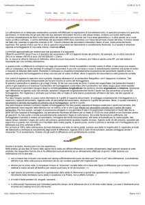 Collimazione telescopio newtoniano