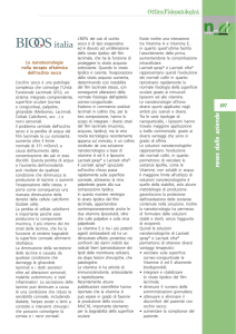 News delle aziende_Bioos Italia - Le nanotecnologie nella terapia
