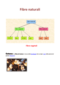 Fibre naturali