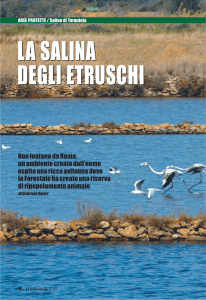 la salina degli etruschi la salina degli etruschi