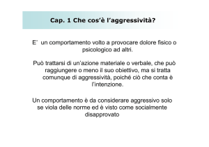 Agress Cap 1-2