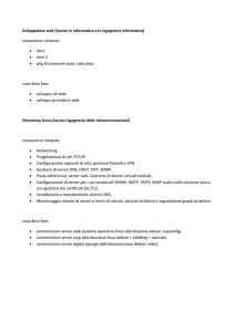 Sviluppatore web (laurea in informatica e/o ingegneria informatica