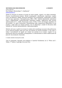METODOLOGIE BIOCHIMICHE 6 CREDITI Paolo Iadarola Dip