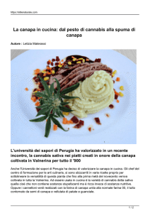 La canapa in cucina: dal pesto di cannabis alla