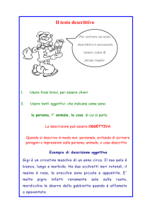 Testo Descrittivo: Guida e Esempi per la Scuola