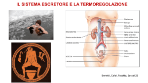 Scarica - liceo maffei