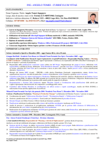 ing. angelo tomei - curriculum vitae