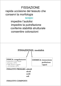 Allestimento di preparati File
