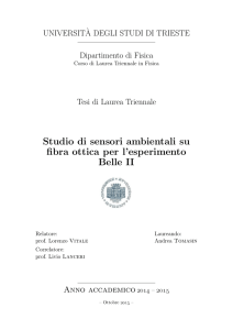 Studio di sensori ambientali su fibra ottica per l`esperimento Belle II