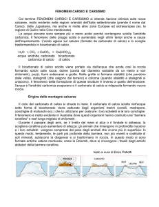 FENOMENI CARSICI E CARSISMO Col termine