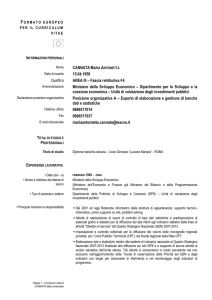 formato europeo per il curriculum vitae