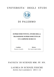 universita` degli studi di palermo
