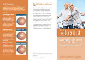 Trattamento dei filamenti e opacità vitreali