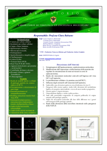 Virologia e oncologia molecolare - Università degli Studi dell`Aquila