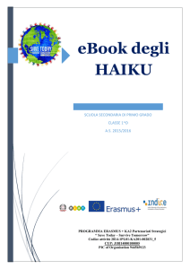 eBook degli HAIKU