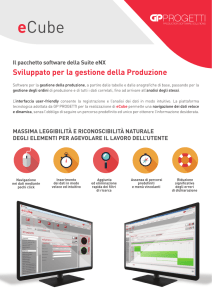 Sviluppato per la gestione della Produzione