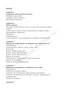 INDICE capitolo 1 Anatomia dell`orecchio esterno Padiglione