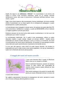 Il viaggio dei suoni nel nostro cervello