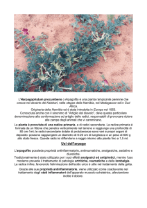 scarica la scheda dell`arpago