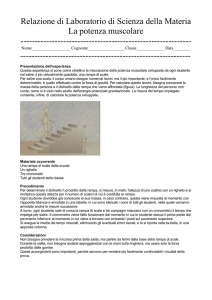 Relazione di Laboratorio di Scienza della Materia