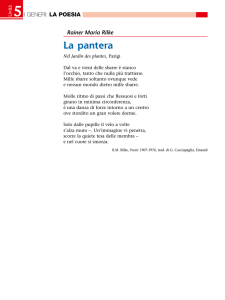 La pantera - Libro più web