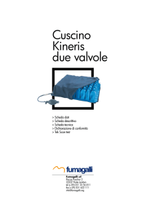 Cuscino Kineris due valvole