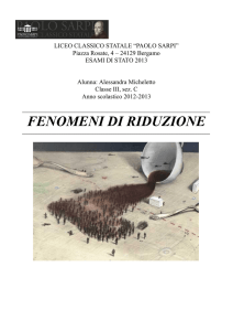 Tesina di Maturità – Fenomeni di Riduzione – Liceo