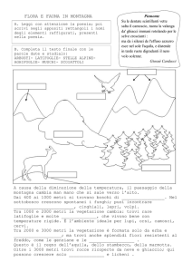 Flora e Fauna in Montagna: Esercizi per la Scuola Elementare