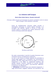 La visione sott`acqua