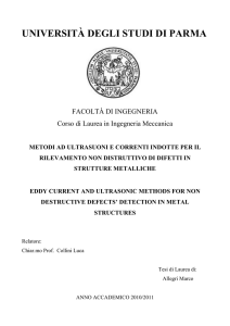 TESI revisione