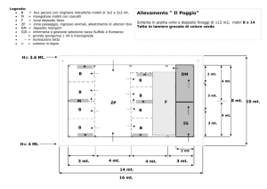 Planimetria della stalla - Allevamento Il Poggio, pecore Suffolk