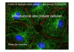 Introduzione alle colture cellulari