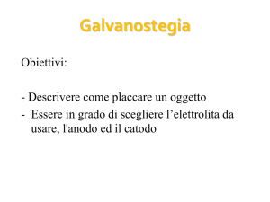 Galvanostegia