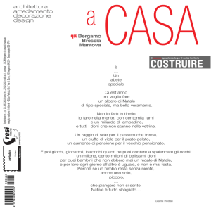 Articolo n° 2 - Mei Costruzioni Srl