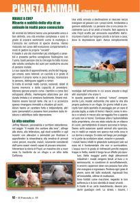 Scarica l`articolo in formato PDF