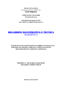 RELAZIONE ILLUSTRATIVA E TECNICA RELAZIONE