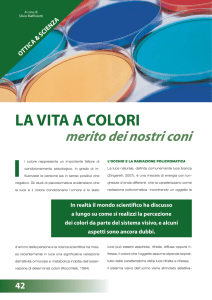 La vita a colori, merito dei nostri coni