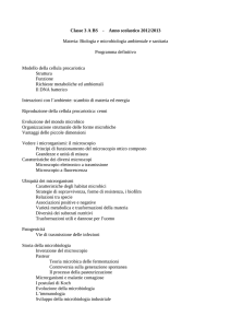Classe 3 A BS - Anno scolastico 2012/2013