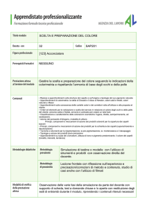 [SAP201] Scelta e preparazione del colore