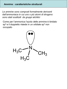 Diapositiva 1 - Docenti.unina