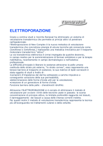 Elettroporazione - Renewal Estetica