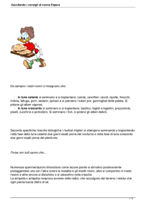 Ascoltando i consigli di nonna Papera