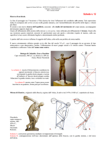 scheda-n12_web - WordPress.com