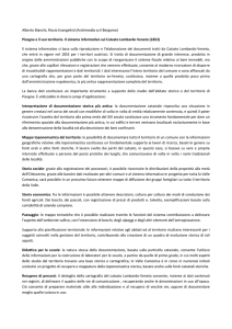 Alberto Bianchi, Riccio Evangelisti (Archimedia scrl Bergamo