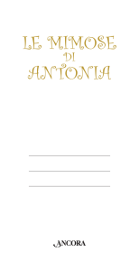 le mimose antonia
